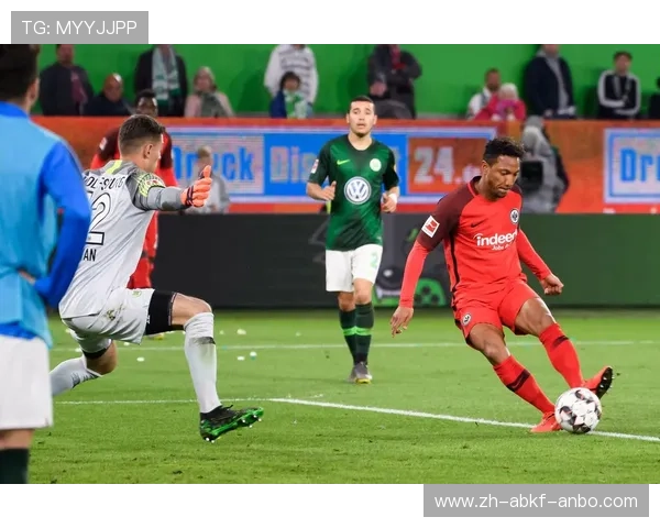 飞马足球队是否属于德甲？球队背景与实际分析